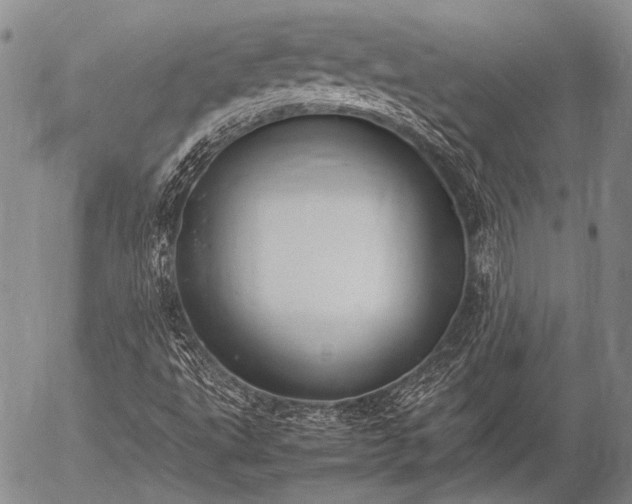 X0000057081495200509161550