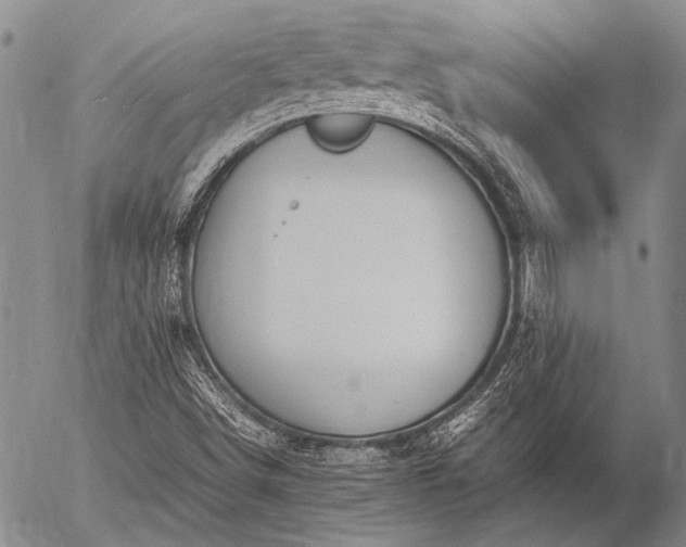 X0000057081498200509161550