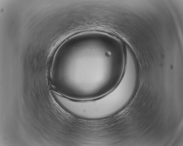 X0000057081500200509161551