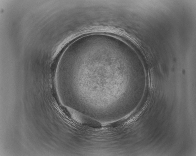 X0000057081501200509161551