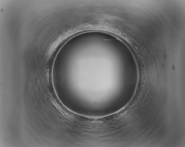 X0000057081503200509161551