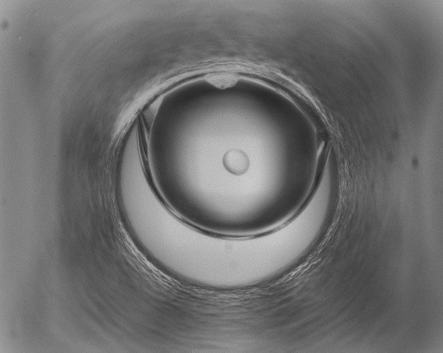 X0000057081504200509161551