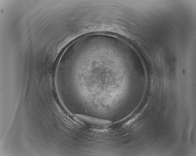 X0000057081505200509161551