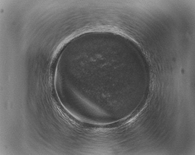 X0000057081506200509161551