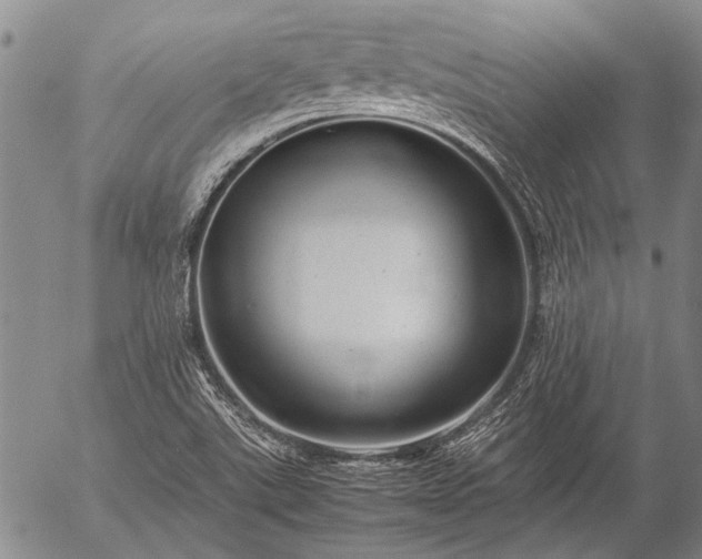 X0000057081507200509161551