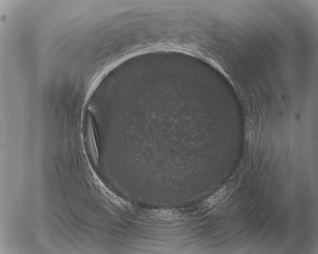 X0000057081508200509161551