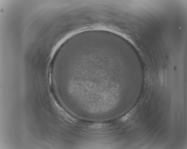 X0000057081510200509161551