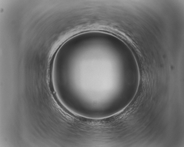 X0000057081512200509161551