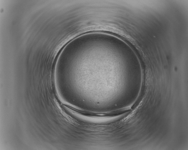 X0000057081513200509161551