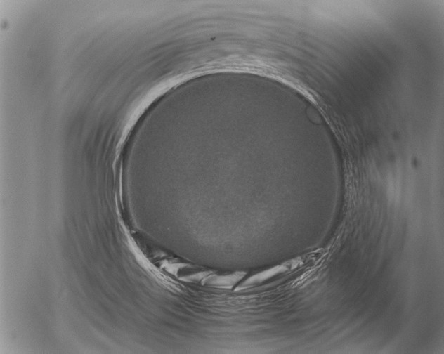 X0000057081515200509161551