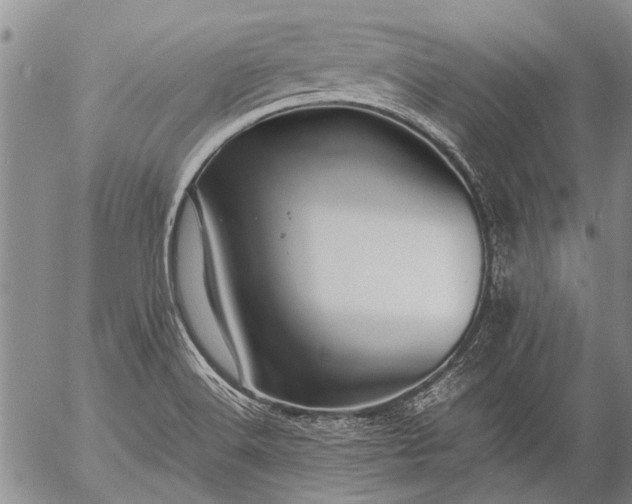 X0000057081516200509161551