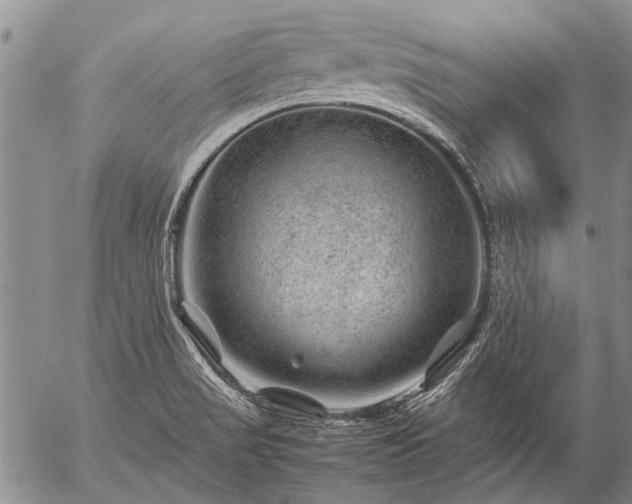 X0000057081517200509161551