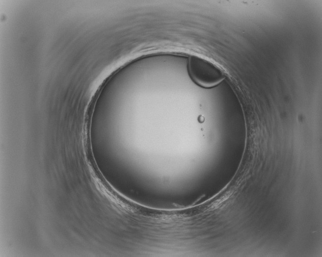 X0000057081518200509161551