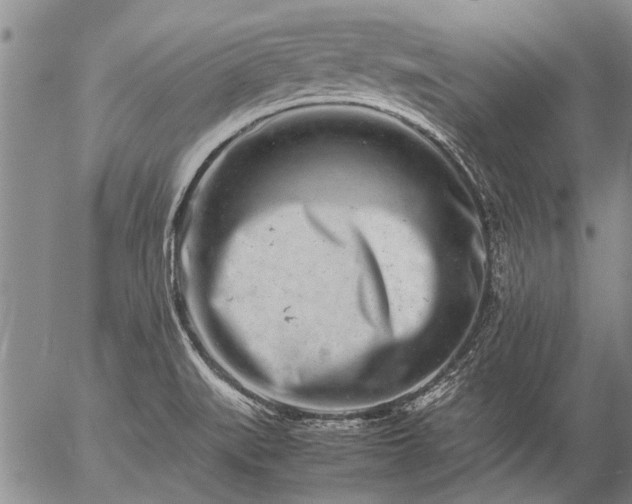 X0000057081519200509161551