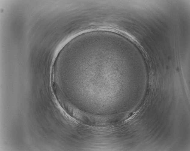 X0000057081520200509161551