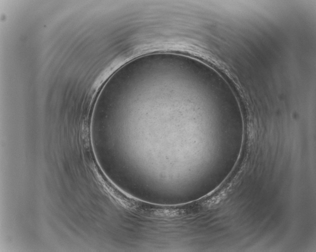 X0000057081521200509161551