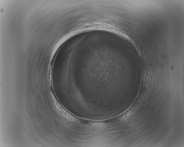 X0000057081522200509161551