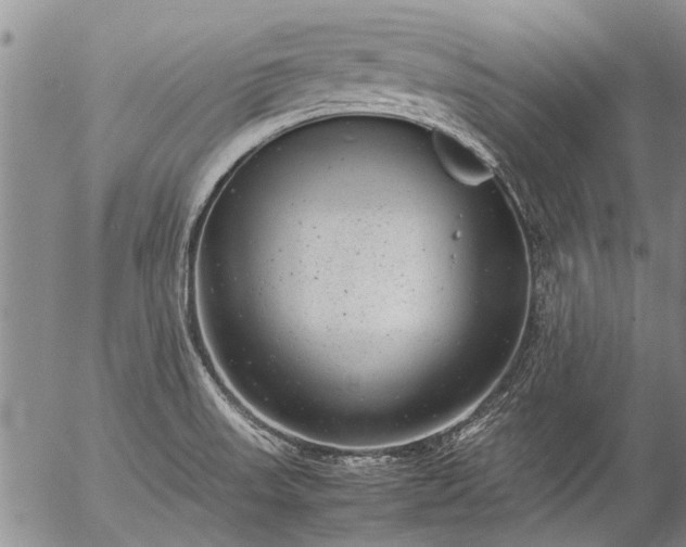 X0000057081523200509161551