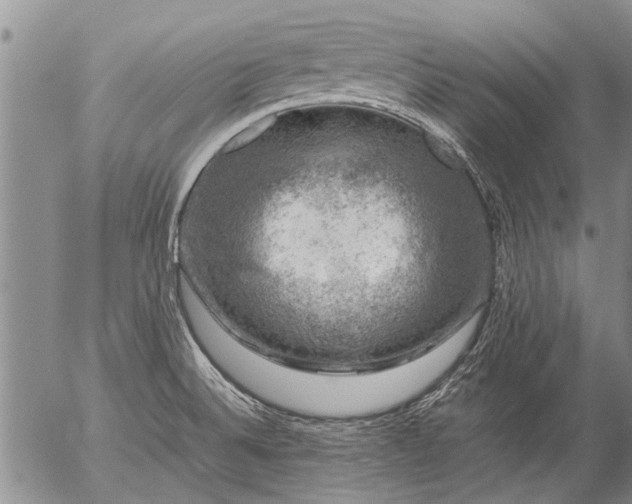 X0000057081524200509161551