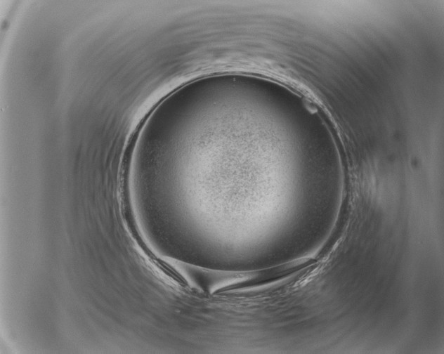 X0000057081525200509161551