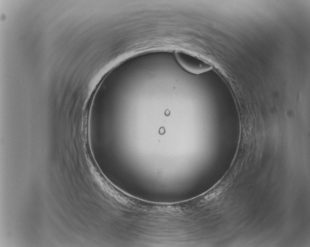 X0000057081526200509161551