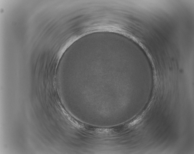 X0000057081529200509161551