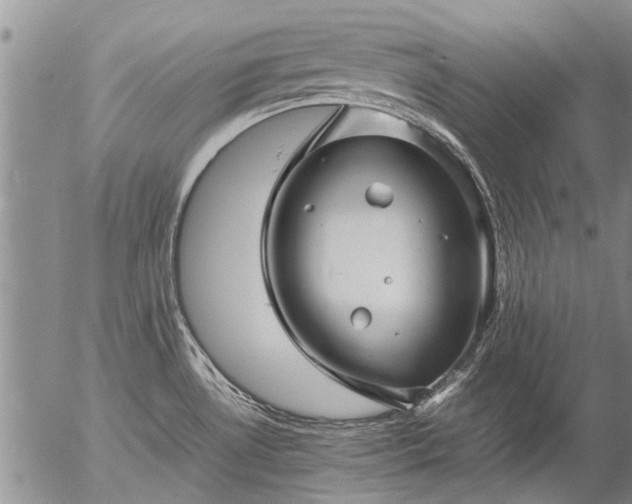 X0000057081530200509161551