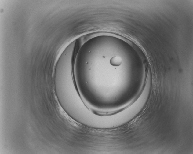 X0000057081532200509161551