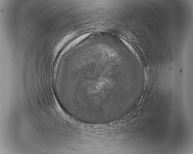 X0000057080003200509231636