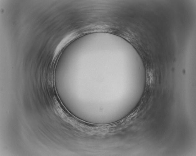 X0000057080004200509231636