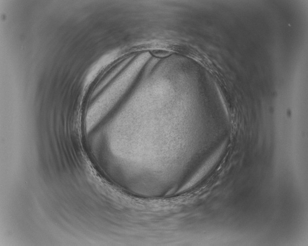 X0000057080006200509231636