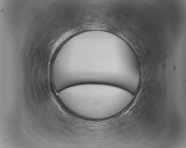 X0000057080008200509231636