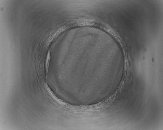 X0000057080009200509231636