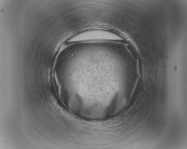 X0000057080010200509231636