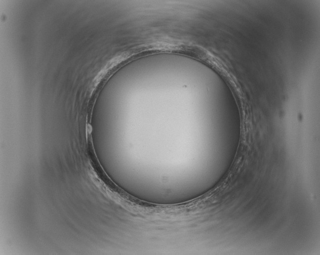 X0000057080011200509231636