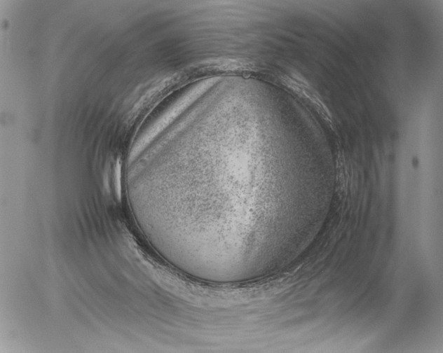 X0000057080014200509231636