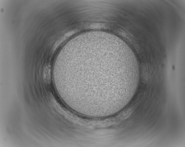 X0000057080016200509231636