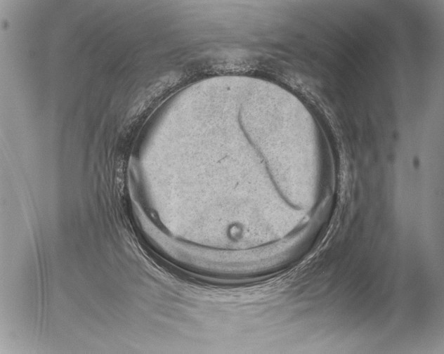 X0000057080017200509231636