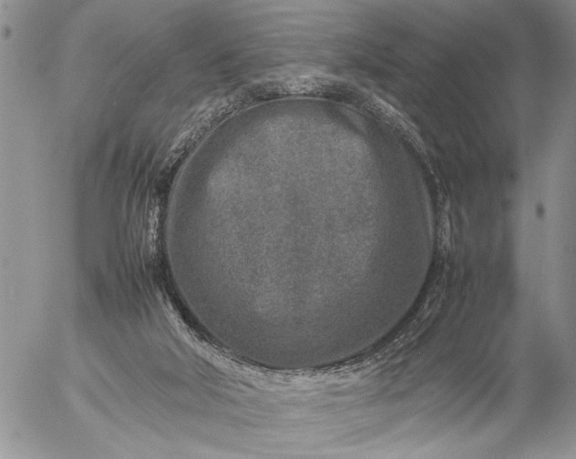 X0000057080018200509231636