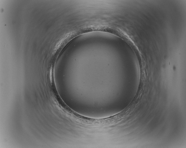 X0000057080019200509231636