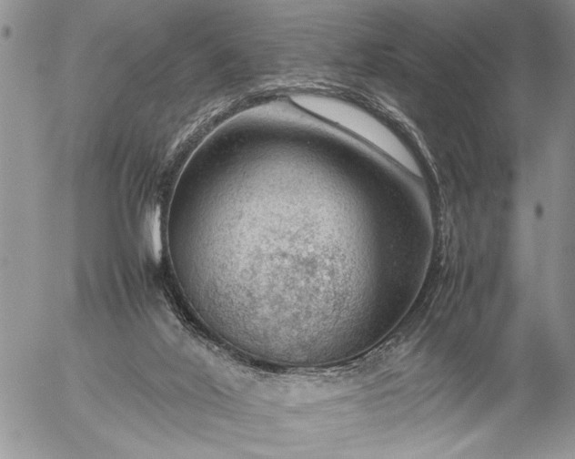 X0000057080020200509231635