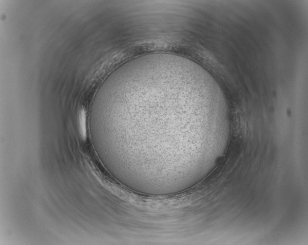 X0000057080022200509231635