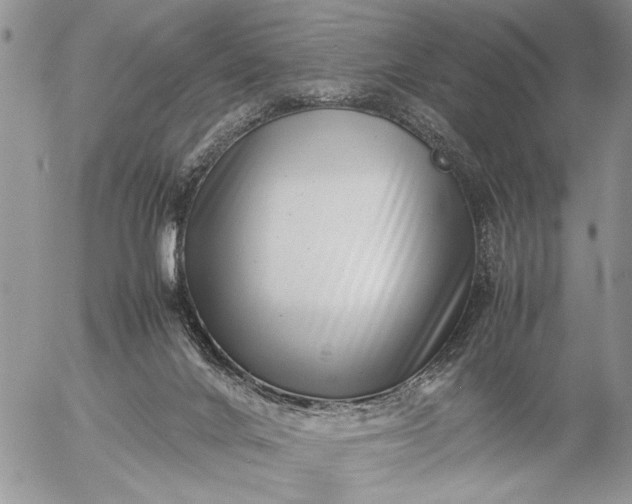 X0000057080024200509231635