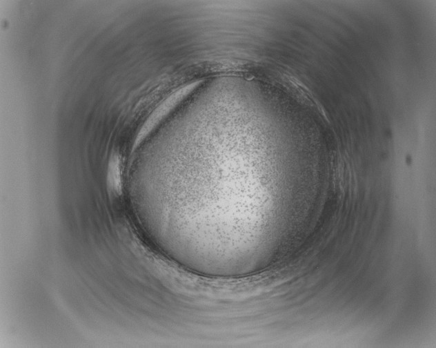 X0000057080026200509231635