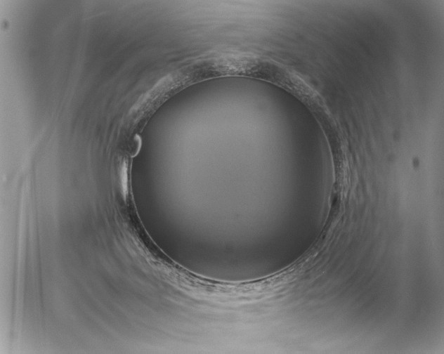 X0000057080027200509231635