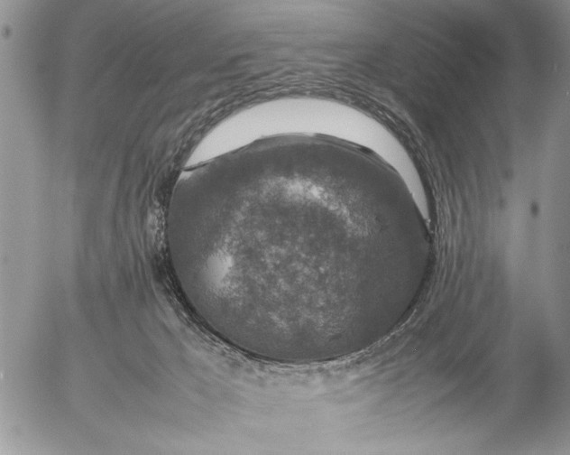 X0000057080029200509231635