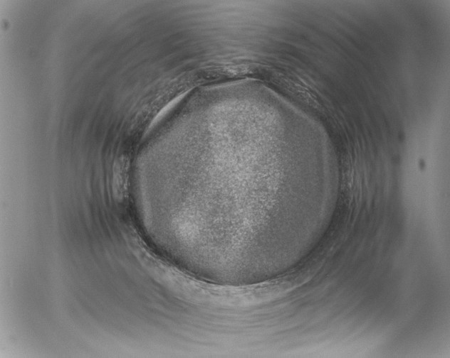 X0000057080030200509231635