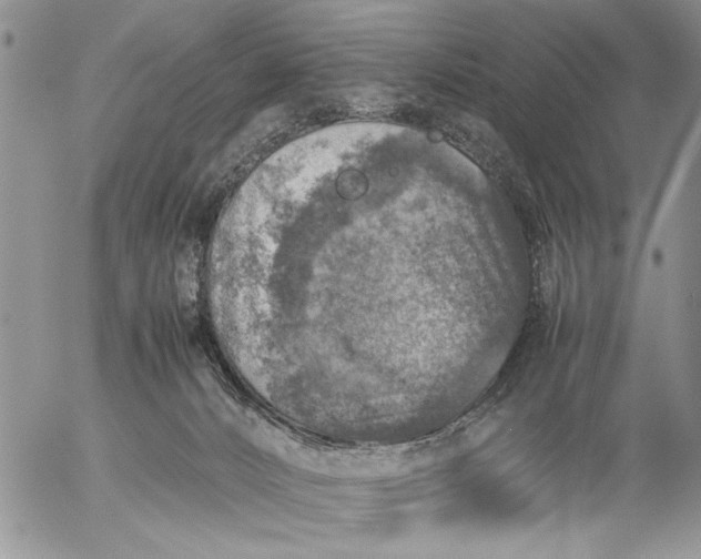 X0000057080032200509231635