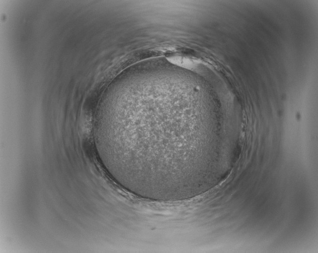 X0000057080033200509231635