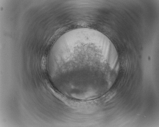 X0000057080036200509231635